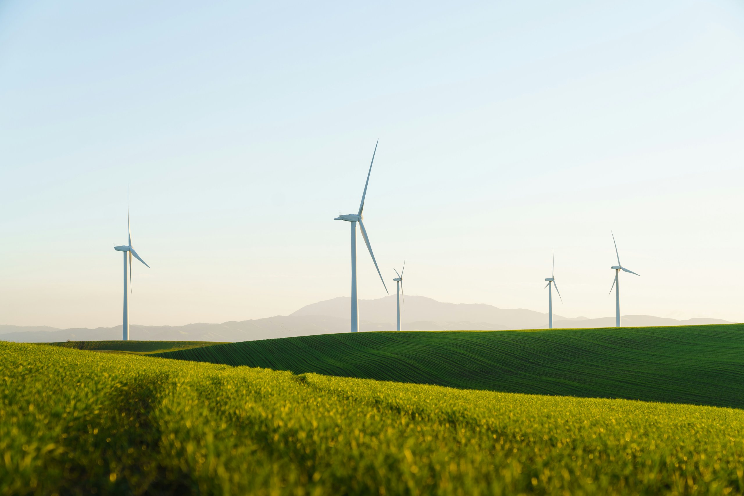 Windmolens in een groen landschap